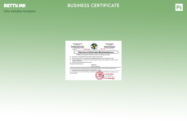 Модерен стил Камерунски сертификат за шаблон за регистрација